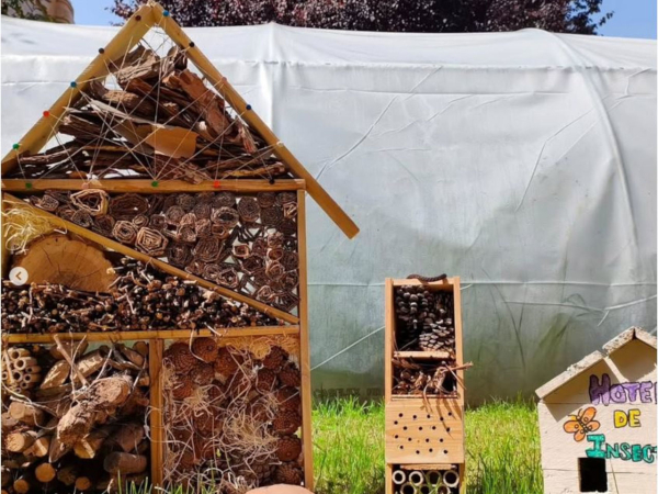 Hotel de insectos de Infantil