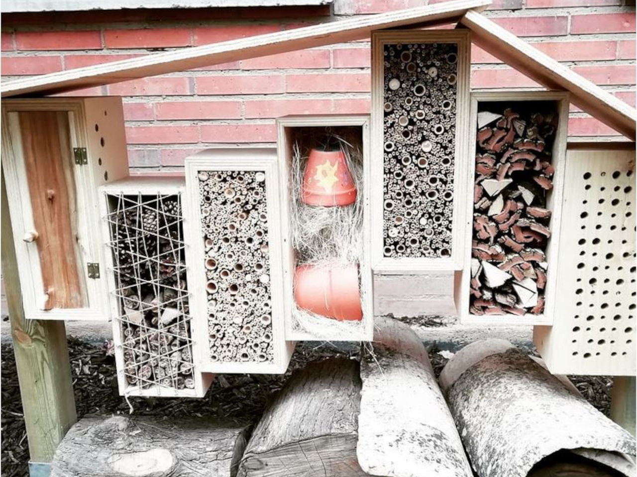 Hotel de insectos de Primaria